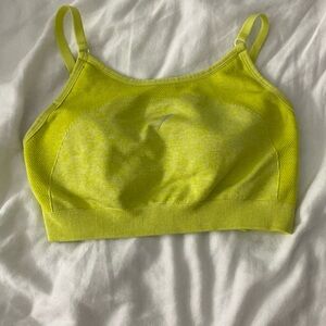 Gym shark sports bra
